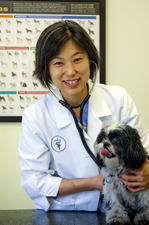 doctor with dog<br />
