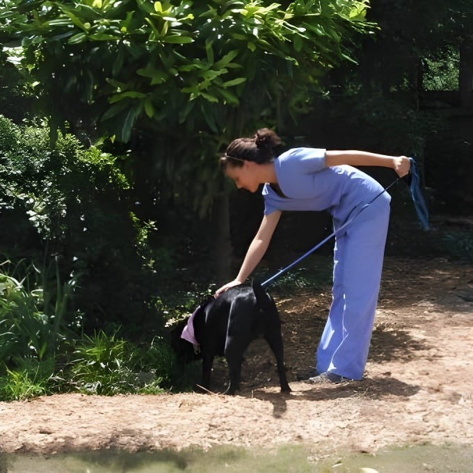 abbott-animal-hospital-pet-boarding