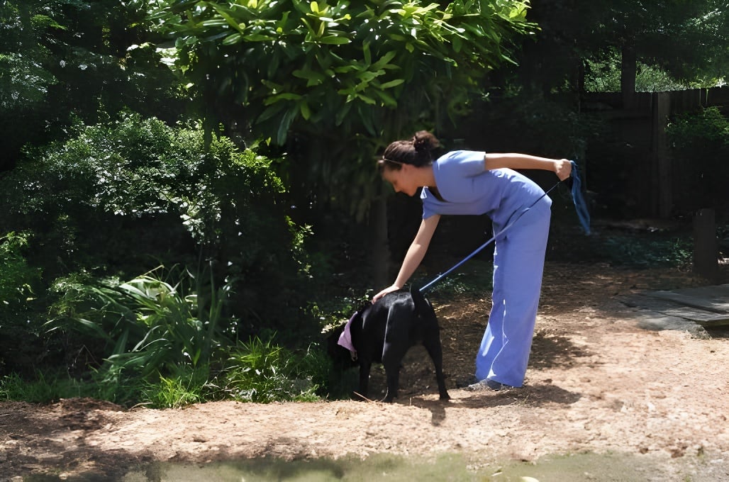 Nature trail walk: Abbott Animal Hospital boarding Abbott Animal Hospital staff member walking a dog along the on-site nature trails in Lilburn, GA