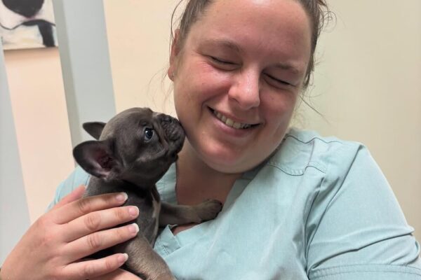 jaymefrenchie